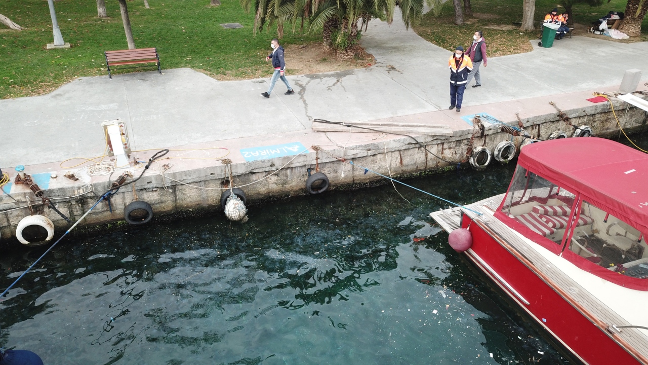 Bazı yat sahipleri, denizanalarının tekne motorlarına takılıp arızaya neden olduğunu söylerken, balıkçılar ise oltaya balık yerine denizanası geldiğini belirtti.