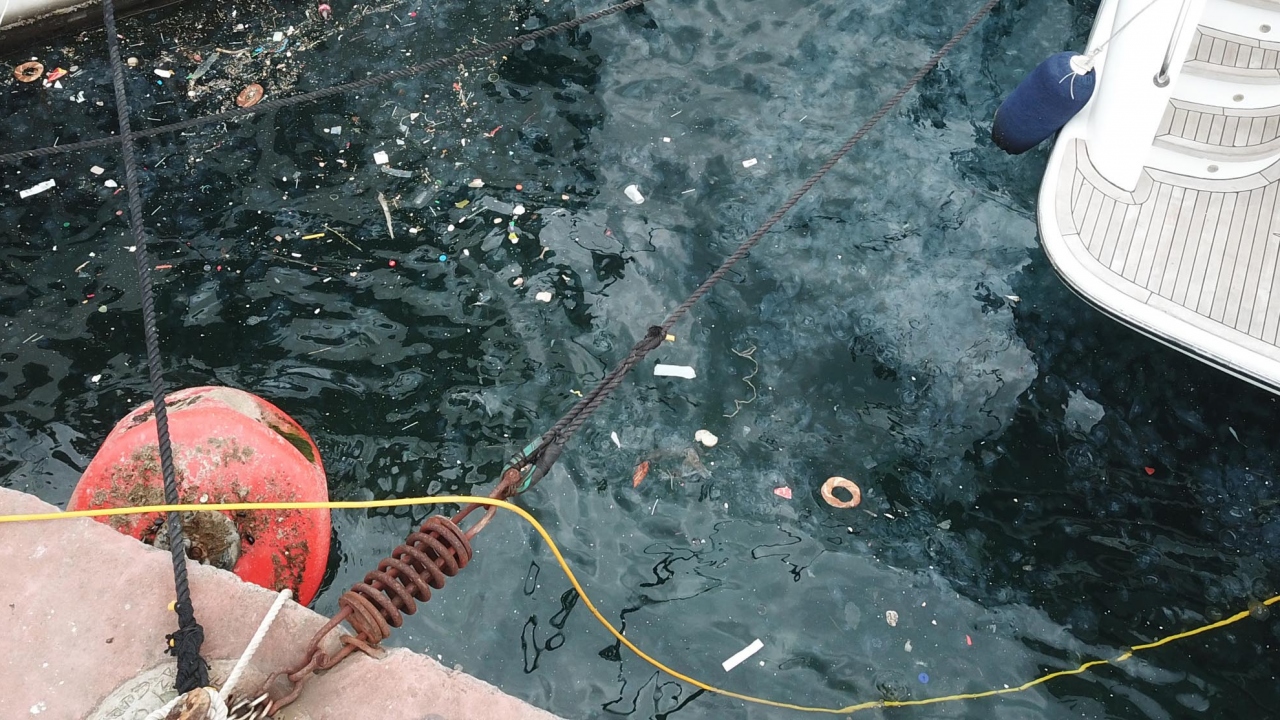 Çevre sakinleri ise, denizdeki yoğun kirlilikle birlikte denizanalarının ortaya çıkardığı manzarayı görüntü kirliliği olarak değerlendirdi.