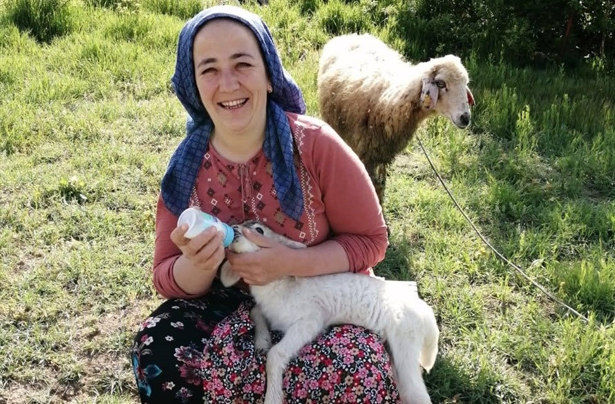 Konya Büyükşehir Belediyesi Bozkır İtfaiye Amirliğinde çalışan Akpınar`ın, kurbanlık aldığı koyun kuzuladıktan 2 ay sonra öldü. Aile üyeleri, annesiz kalan kuzuyu elleriyle biberonla besledi. 