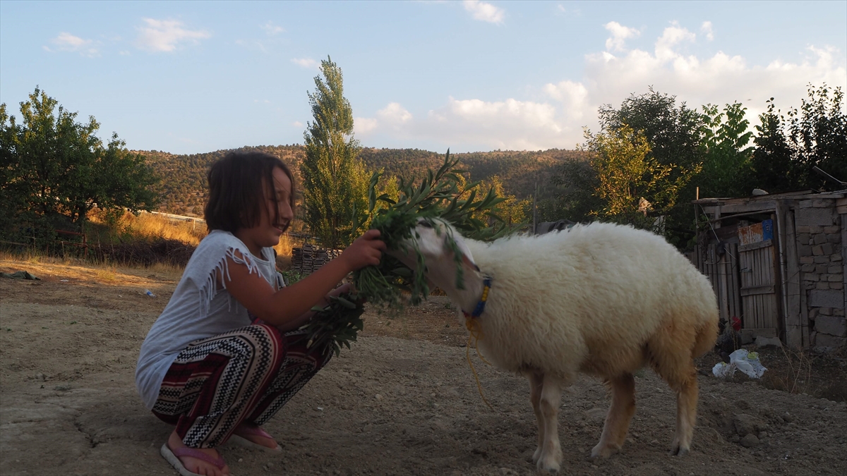 "Elimizden geldiğince annesini arattırmamaya çalışıyoruz"
