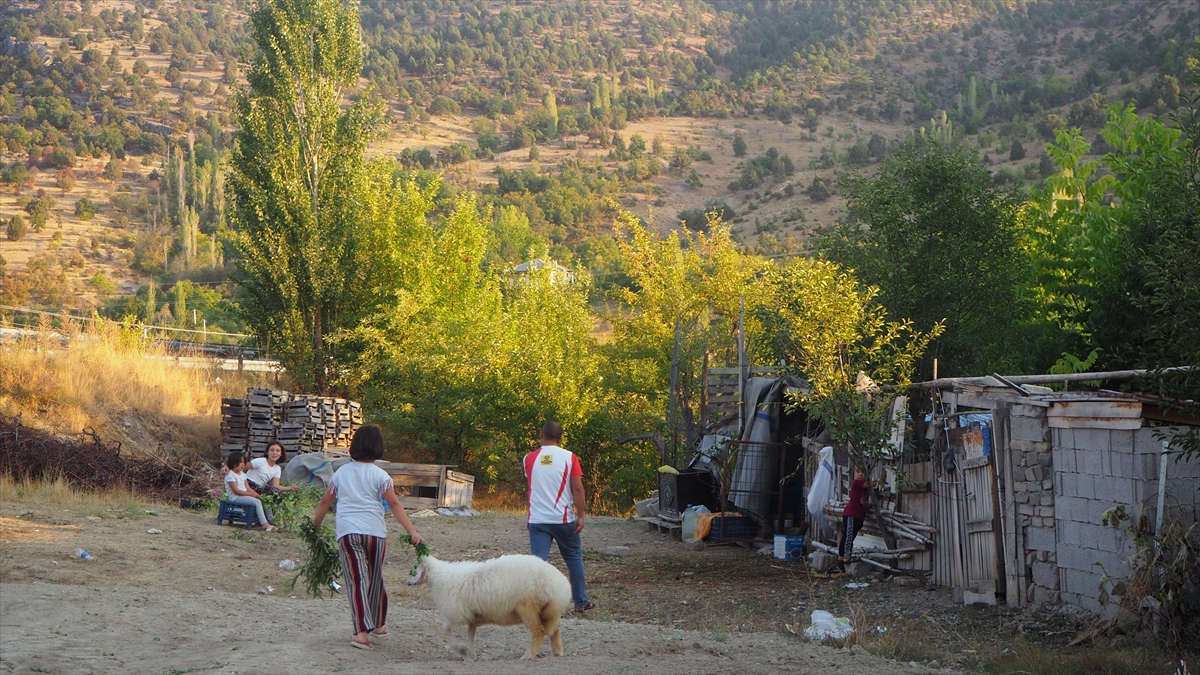 Konya`nın Bozkır ilçesinde yaşayan Hüseyin Akpınar`ın kurban için aldığı koyunun kuzusu, ev sakinlerine arkadaşlık ediyor.