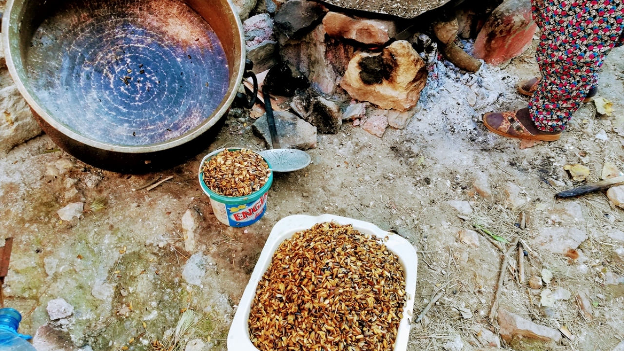 Yöredeki vatandaşlar meşe külüyle bir süre haşladıkları çekirdekleri ısınan kumla birleştirerek odun ateşinde kavuruyor.