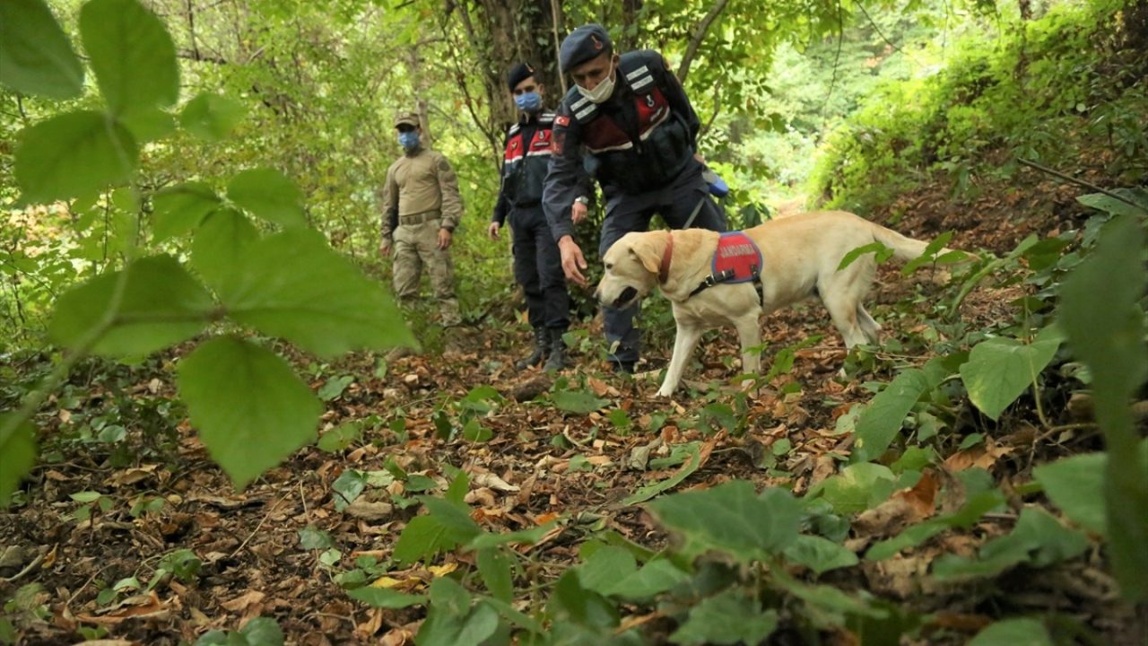 Jandarmanın hassas burunları iz takip köpeği "Füme", arama kurtarma köpeği "Garip" ve kadavra köpeği "Salto" da ekiplere destek verdi.