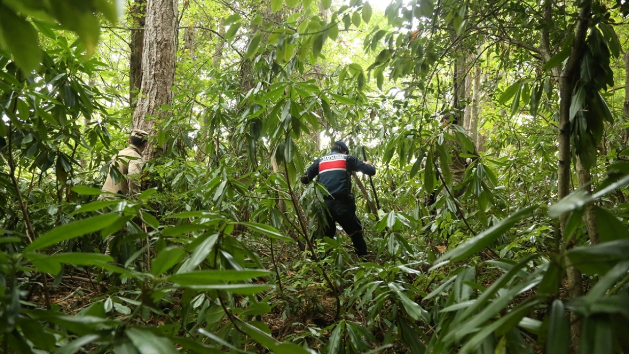 Beldeğirmeni köyünde yaşayan Göçmen`i bulmak için Kastamonu İl Jandarma Komutanlığı, İl Afet ve Acil Durum Müdürlüğü ve Ulusal Medikal Kurtarma Ekibi (UMKE) personelinden oluşan ekipler, bölgede zorlu hava ve arazi şartlarına rağmen bir ay boyunca gece gü