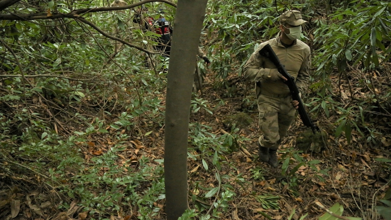 Oğlu Metin Göçmen, geçen ay sabah erken saatlerde kestane toplamak için ormana giden annesinin bir daha dönmediğini söyledi.