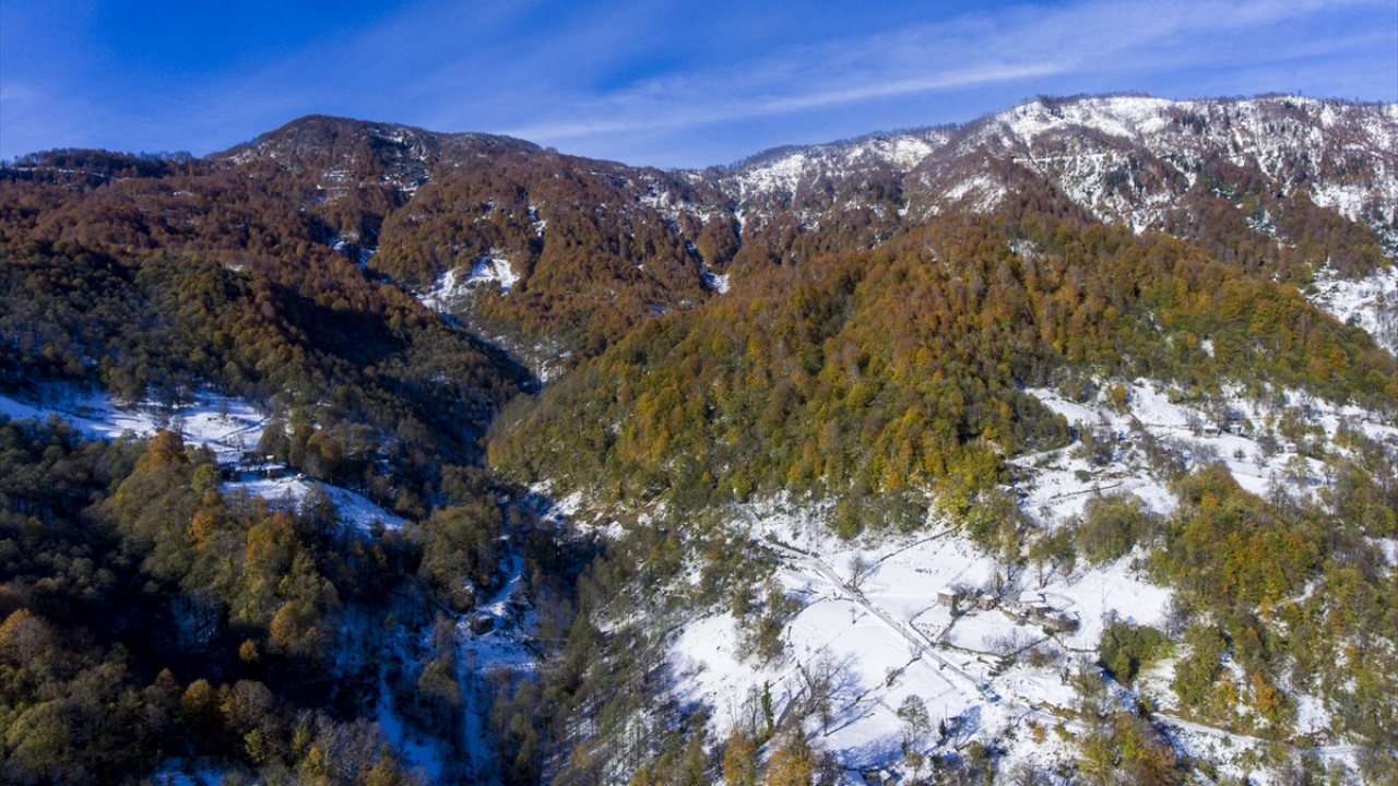 İlçe merkezine 30 kilometre uzaktaki köyde sararıp yere dökülen yaprakların üstünü kaplayan kar dolayısıyla adeta kartpostallık görüntüler oluştu.