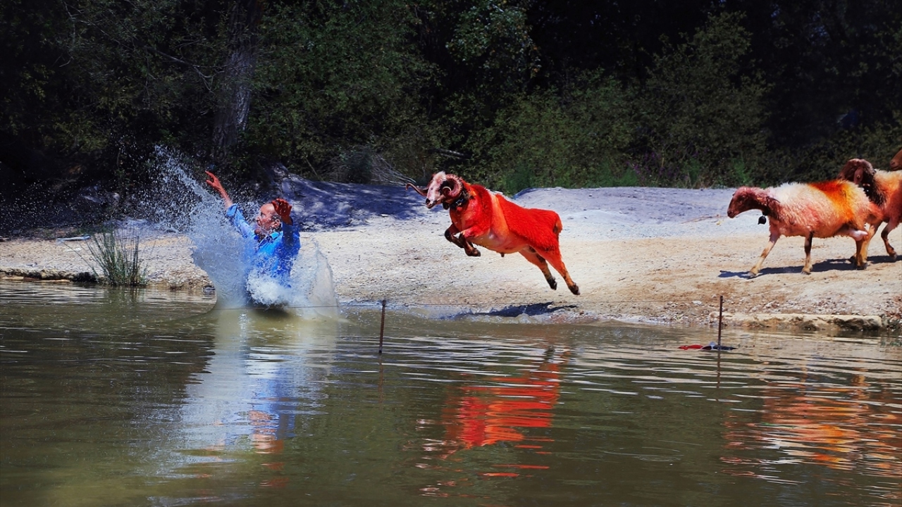 "İnsan ve Yaşam" kategorisinde Yılmaz Karaca`nın fotoğrafı da "Başarı Ödülü" aldı.