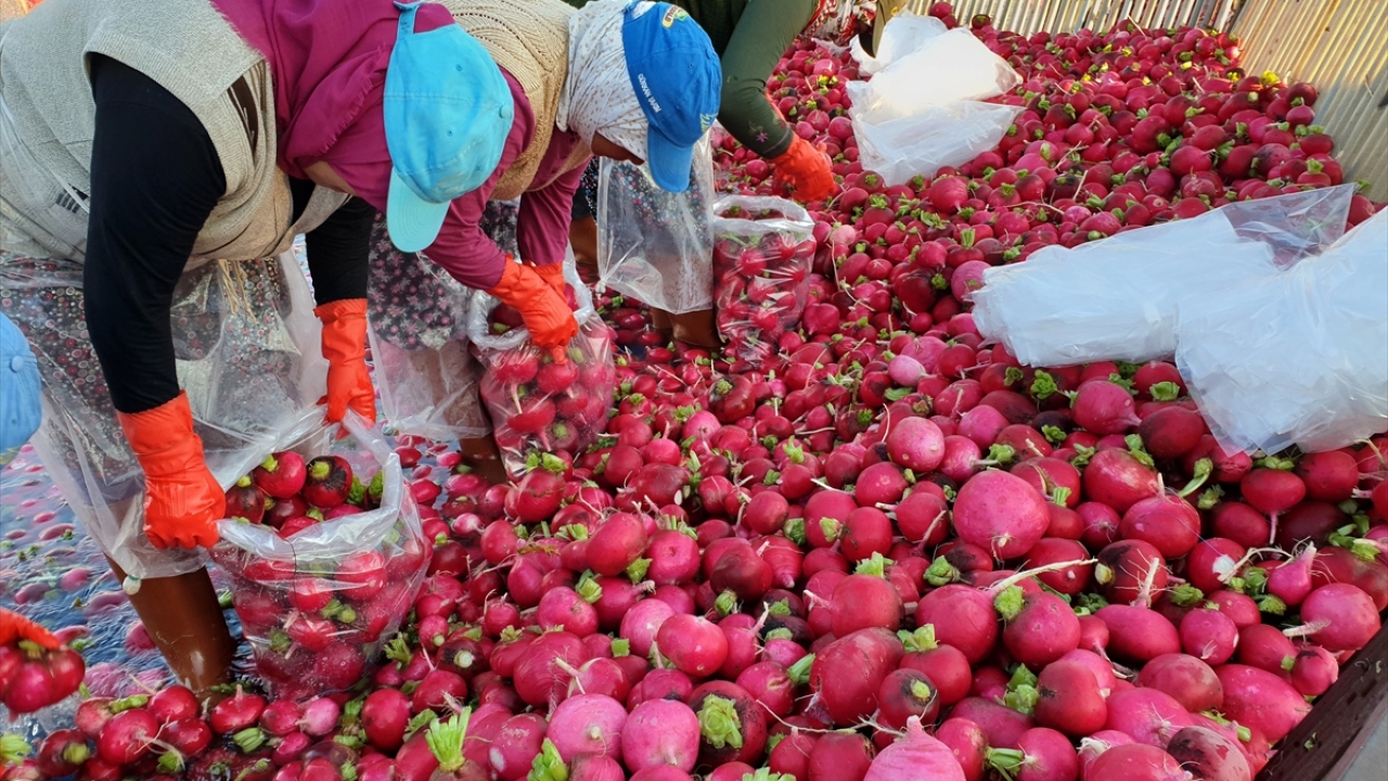 5 bin kişiye iş imkanı sağlıyor
