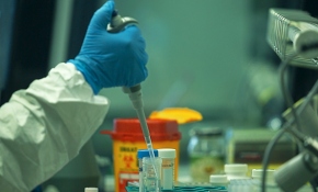 Dünyaya umut olan 5 aşının özellikleri