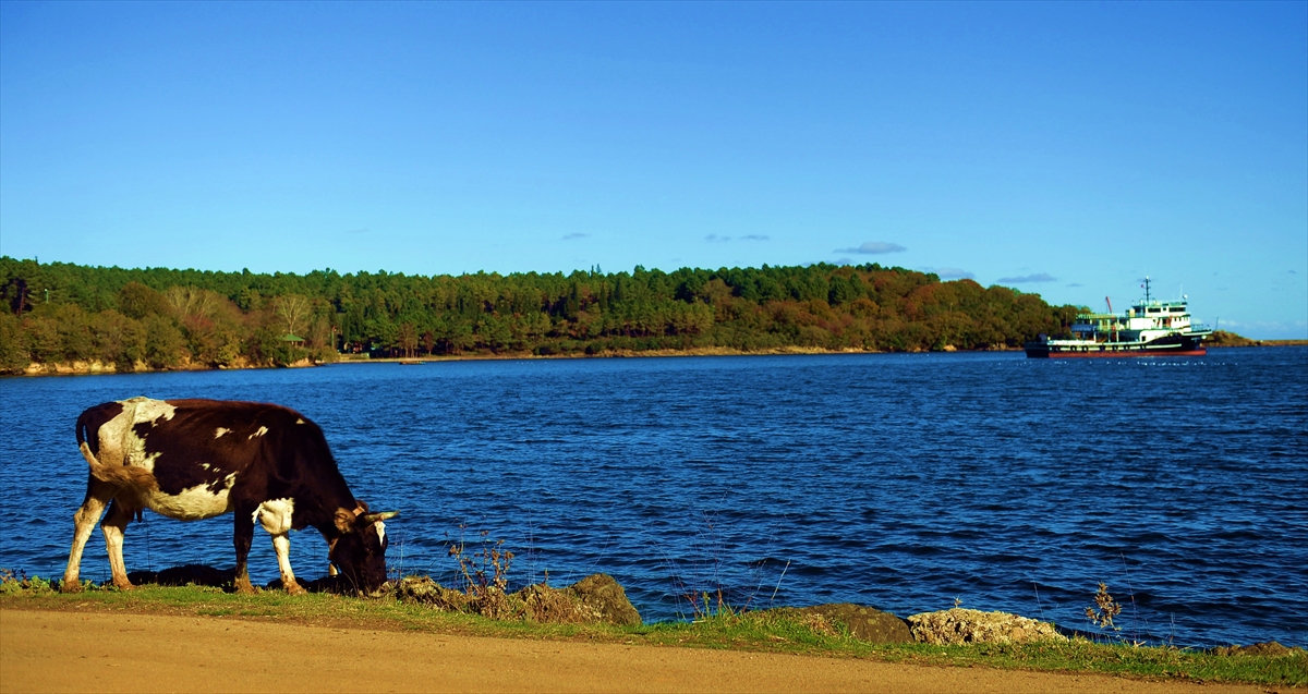 Fotoğraf tutkunlarının ve doğaseverlerin uğrak noktası olan Hamsilos ile Akliman koyları, huzurlu ortamıyla ziyaretçilerini cezbediyor.