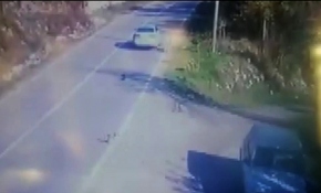 Yavru köpeğe çarpan sürücü yoluna devam etti