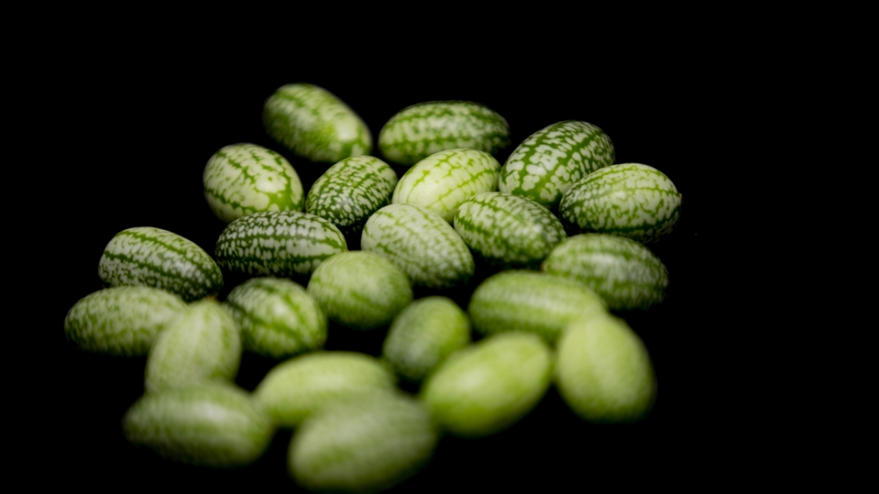 Yeni aromalar ve sunumlar üzerinde çalışıyorlar