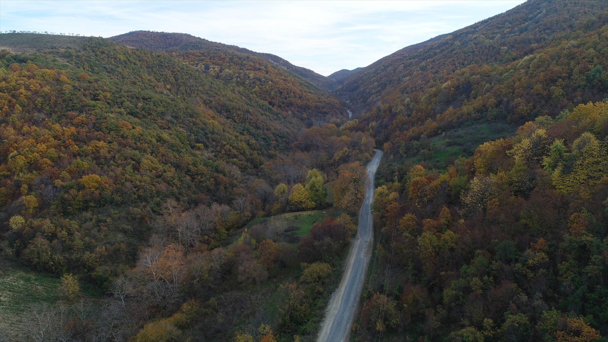 Ganos Dağı ve eteklerindeki büyüleyici ormanlar, sarı ve kahverenginin envaiçeşit tonuyla ziyaretçilerine eşsiz manzaralar sunduğu sonbahara veda ediyor.