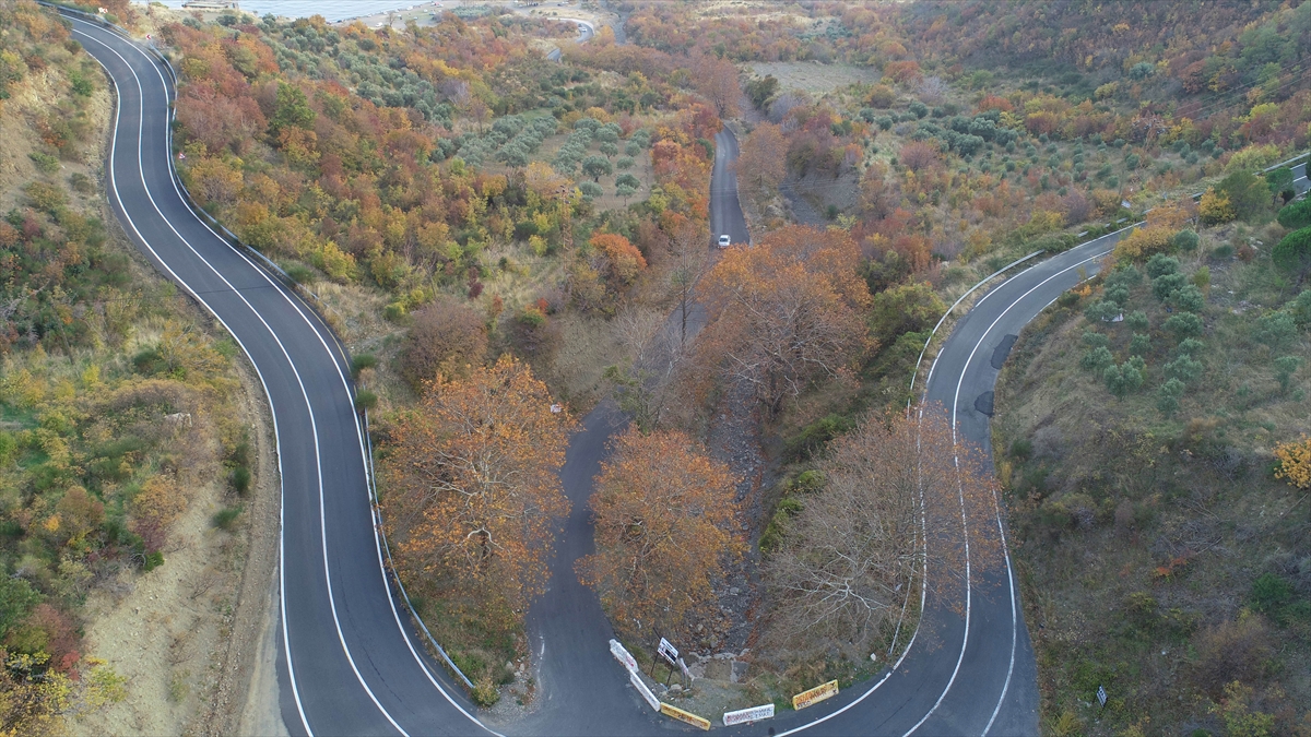 Doğaseverler ile amatör fotoğrafçılar, renk cümbüşünün ayrı bir güzellik kattığı ormanlık alanda hem yürüyüş yapmanın hem de fotoğraf çekmenin tadını çıkarıyor.