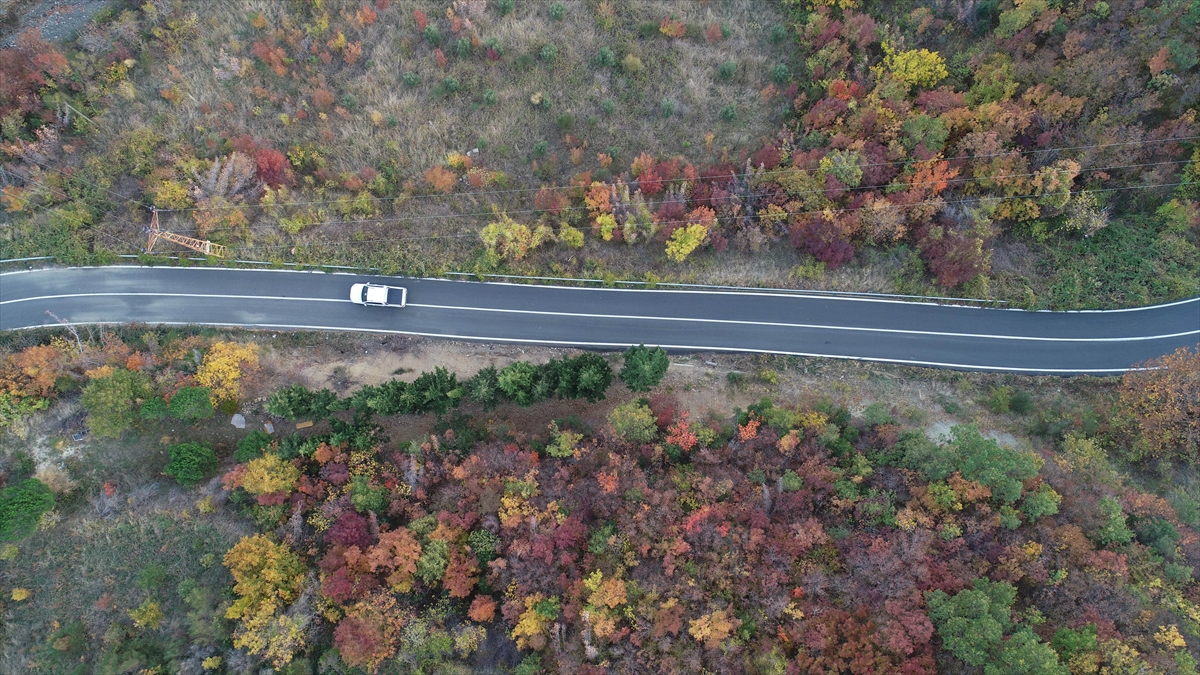 Hacıoğlu, ormanların güzelliğinde huzur bulmak isteyen vatandaşların bölgede çadır kurup kamp yaptığını ifade ederek, şunları kaydetti: