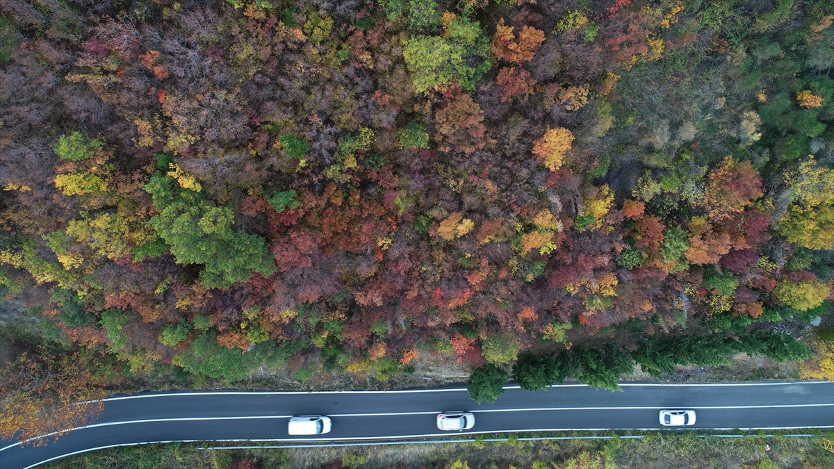 Hacıoğlu, kente gelen ziyaretçilerin sonbaharın keyfini yaşadığını Uçmakdere`ye kış mevsiminde de ziyaretçi beklediklerini sözlerine ekledi.