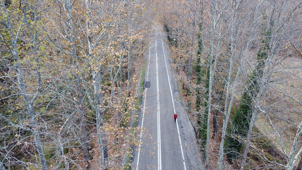 UNESCO Dünya Mirası Listesi`nde bulunan Safranbolu`da yer alan ve Karabük kent merkezine 20 kilometre uzaklıkta bulunan Baklabostan Tabiat Parkı`na gelenler ise kamp kurarak doğayla baş başa vakit geçirmenin tadını çıkarıyor.