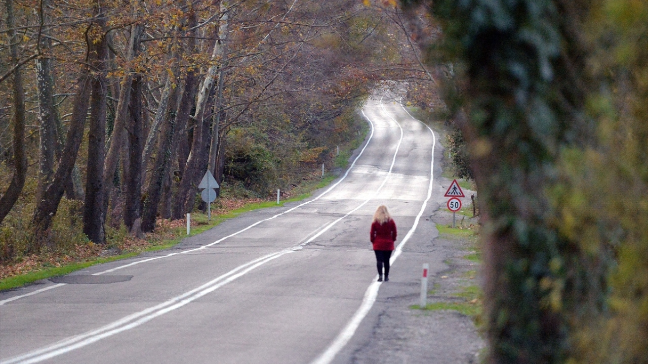 Osmanlı döneminden kalan somut ve soyut mirasın yanında doğa turizmiyle de adından söz ettiren Safranbolu ilçesini Bartın`a bağlayan kara yolunun yaklaşık 5 kilometrelik bölümündeki ağaçlar, yol boyunca adeta bir "tünel" oluşturuyor. 
