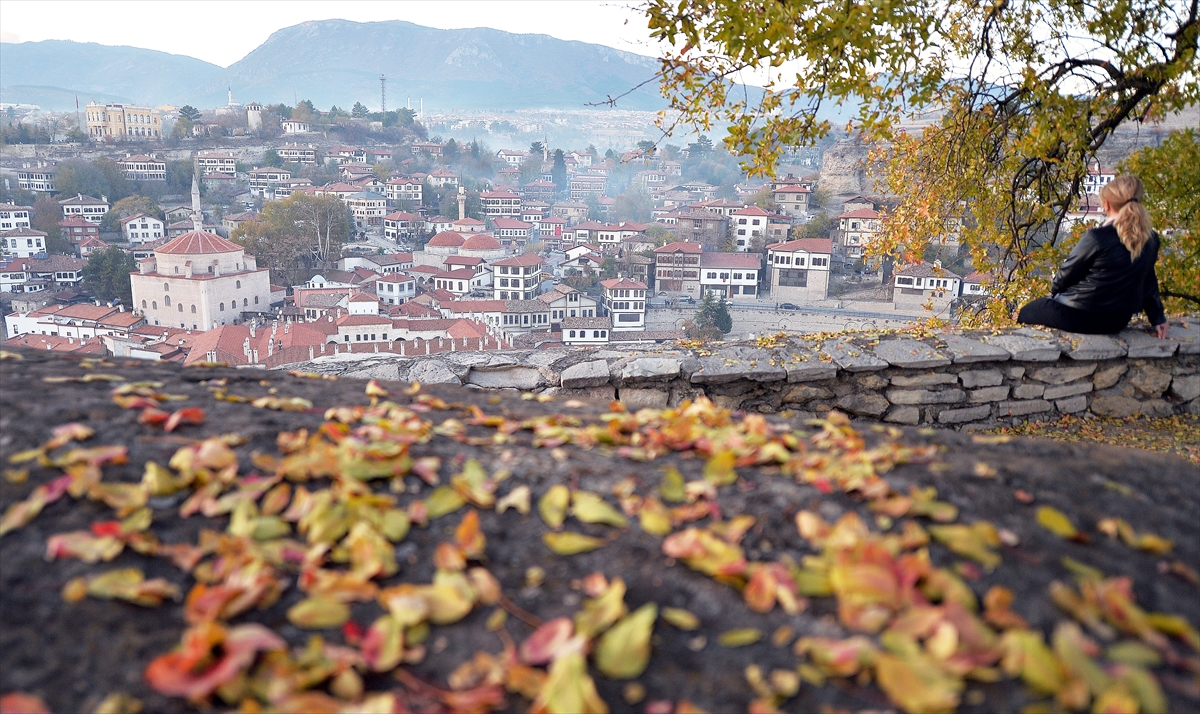 "Ülkemizin en büyük blok ormanları burada"