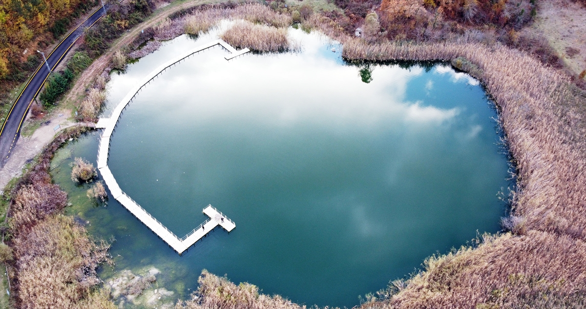 Tarihi evleriyle ünlü Safranbolu ilçesi sınırları içinde yer alan Sırçalı Kanyonu da hem içinde barındırdığı hayvan çeşidi ve "orman denizi" hem de kendiliğinden oluşan taş teraslarla dikkati çeken yerler arasında bulunuyor. 