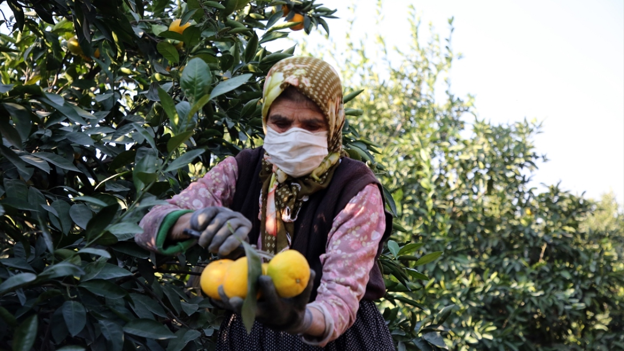 "Çukurova kadını mücadelecidir, yorulmaz"