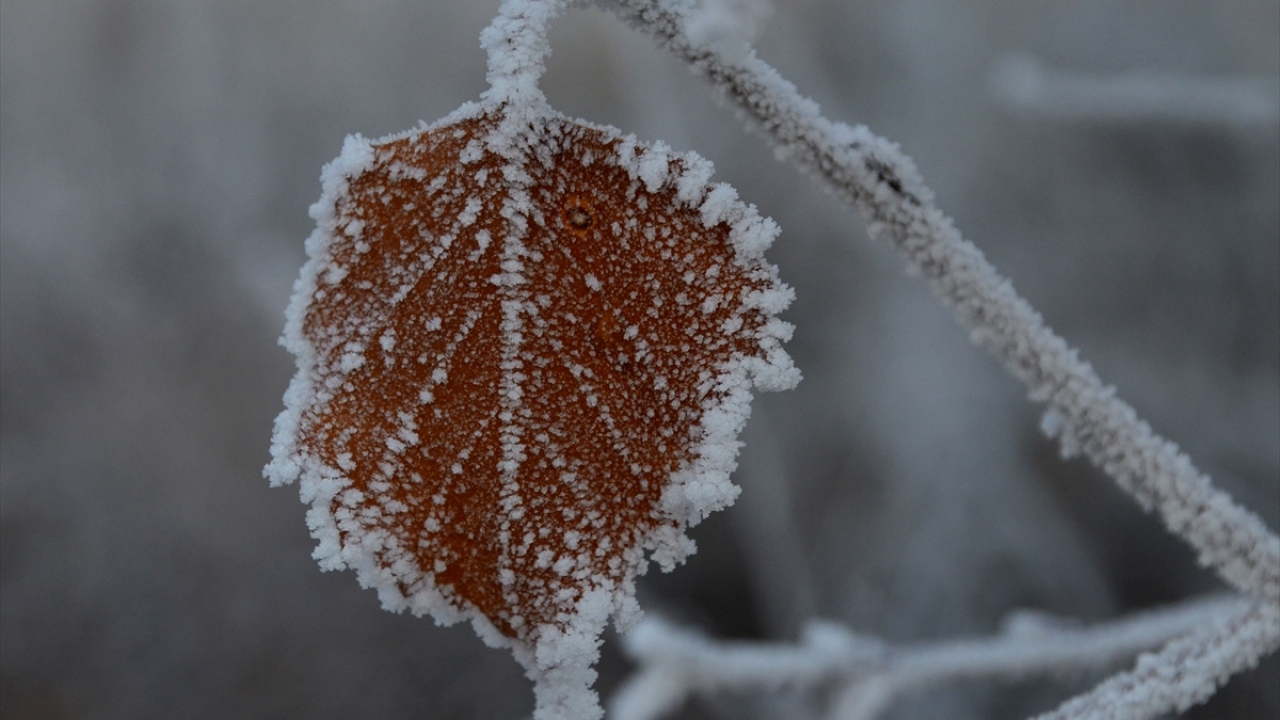 Vatandaşlardan Fevzi Cihangir, kar yağışının beklenen seviyede olmadığını belirterek, "Havalar soğuk, sis ve kırağı oluştu. İnşallah kar yağar çünkü Sarıkamış’a kar yakışıyor." dedi.