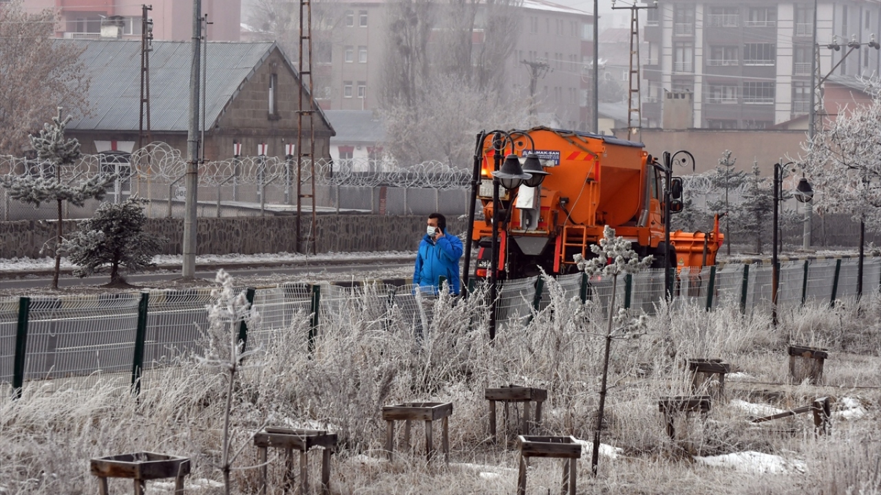 Sarıkamış ilçesinde de soğuk hava nedeniyle ağaçlar ve bitkiler kırağıyla kaplandı.