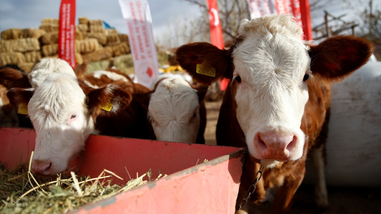 Cumhurbaşkanı Erdoğan başta olmak üzere tüm yetkililere teşekkür eden Demir, herkesin desteğini yanında gördüğünü vurguladı.