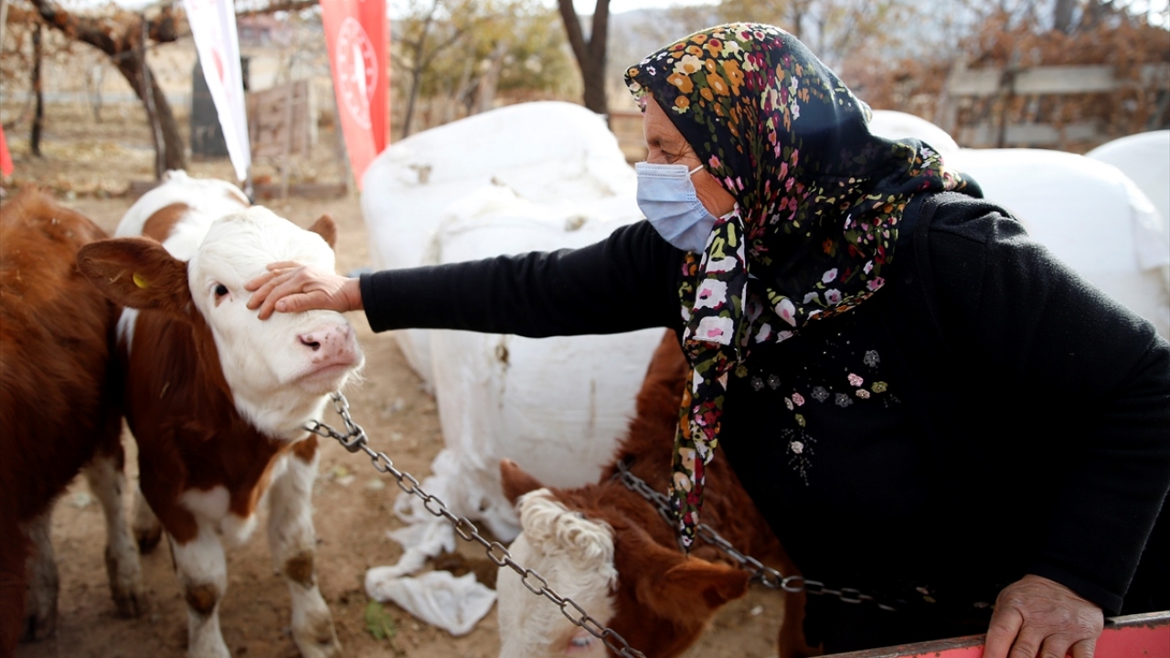 Yaşanacak afetlerden çiftçilerin korunması dileğinde bulunan Pakdemirli, destek verdikleri çiftçilerin gayretle çalışması gerektiğini dile getirdi.