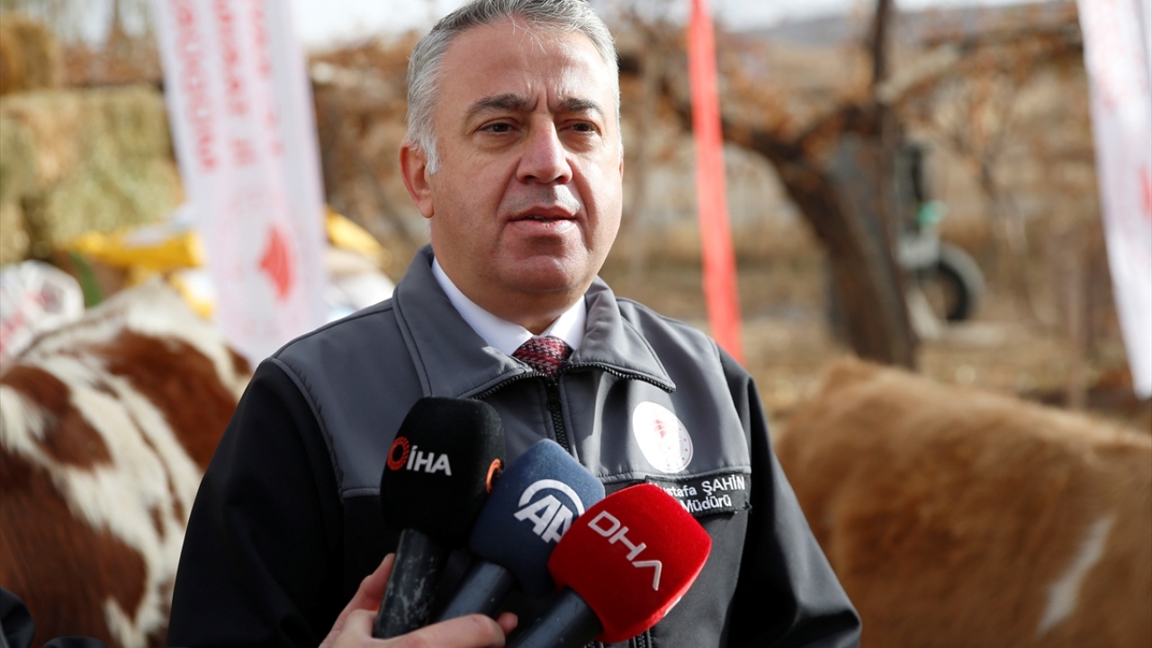 Aileye yem desteği de verildiğini ifade eden Şahin, Demir çiftinin hibe hayvanların buzağılarından ihtiyacı olan başka ailelere vermeye hazır olduklarını ilettiğini aktardı.