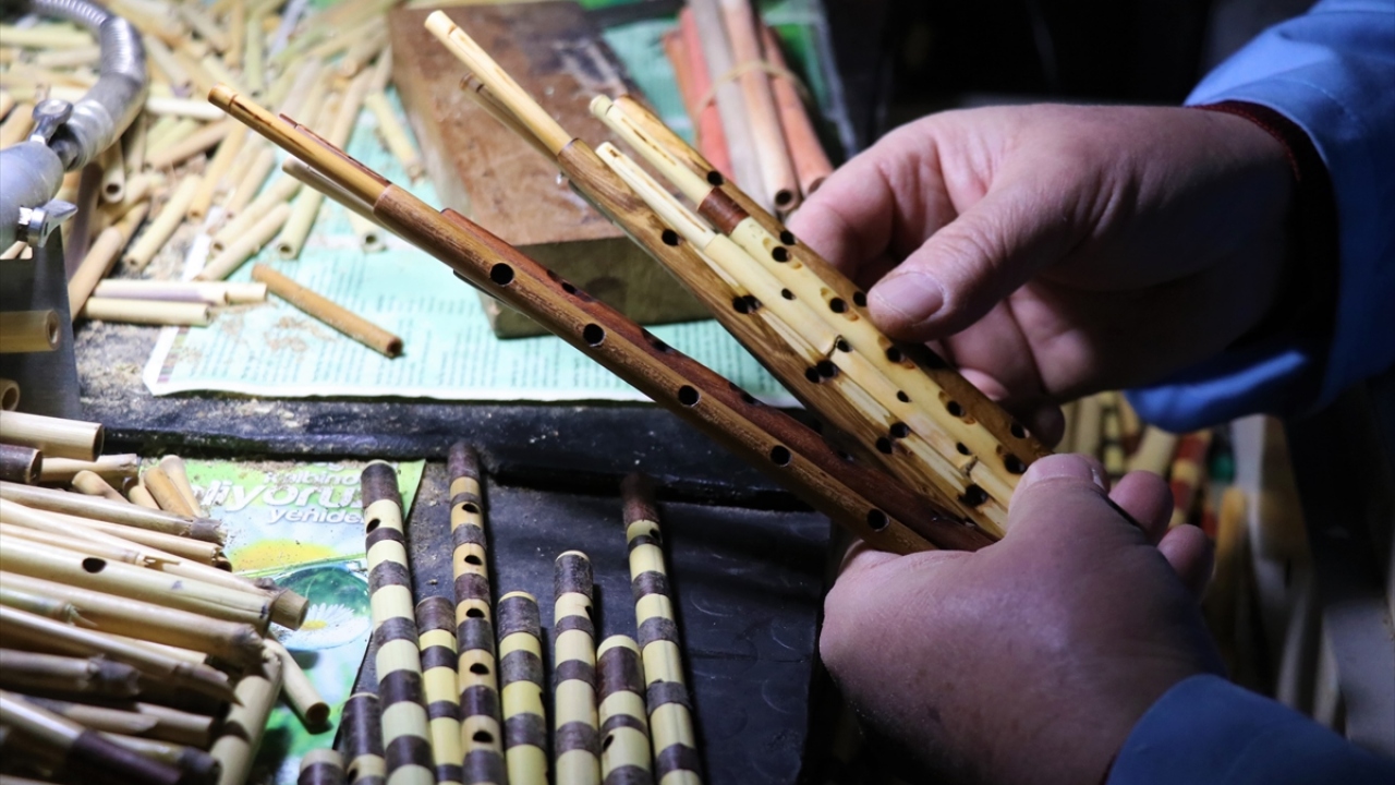 Yörük çalgısı sipsi coğrafi işaret aldı | TRT Haber Foto Galeri