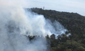Avustralya'daki yangın yerleşim yerlerini tehdit ediyor
