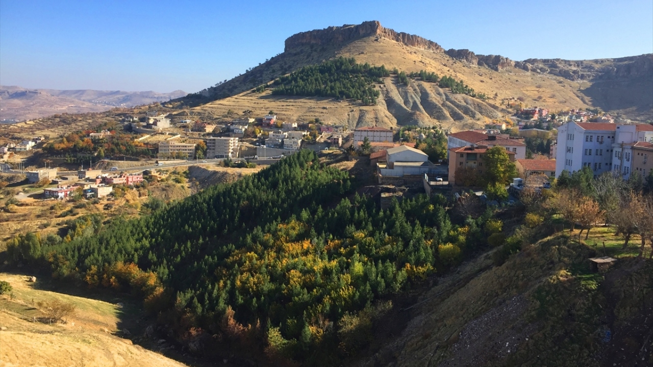 Savurkapı mevkisine 10 bin, değişik alanlara da 4 bin olmak üzere bugüne kadar 14 bini aşkın fidan diken Erginoğlu`nun doğa aşkı takdir topluyor.