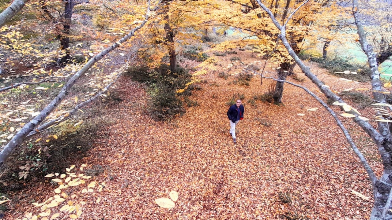 Fotoğraf: Aydın Yılmaz