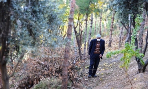 Ömrünü doğaya adadı, 25 yıldır diktiği fidanlarla çöplüğü orman yaptı