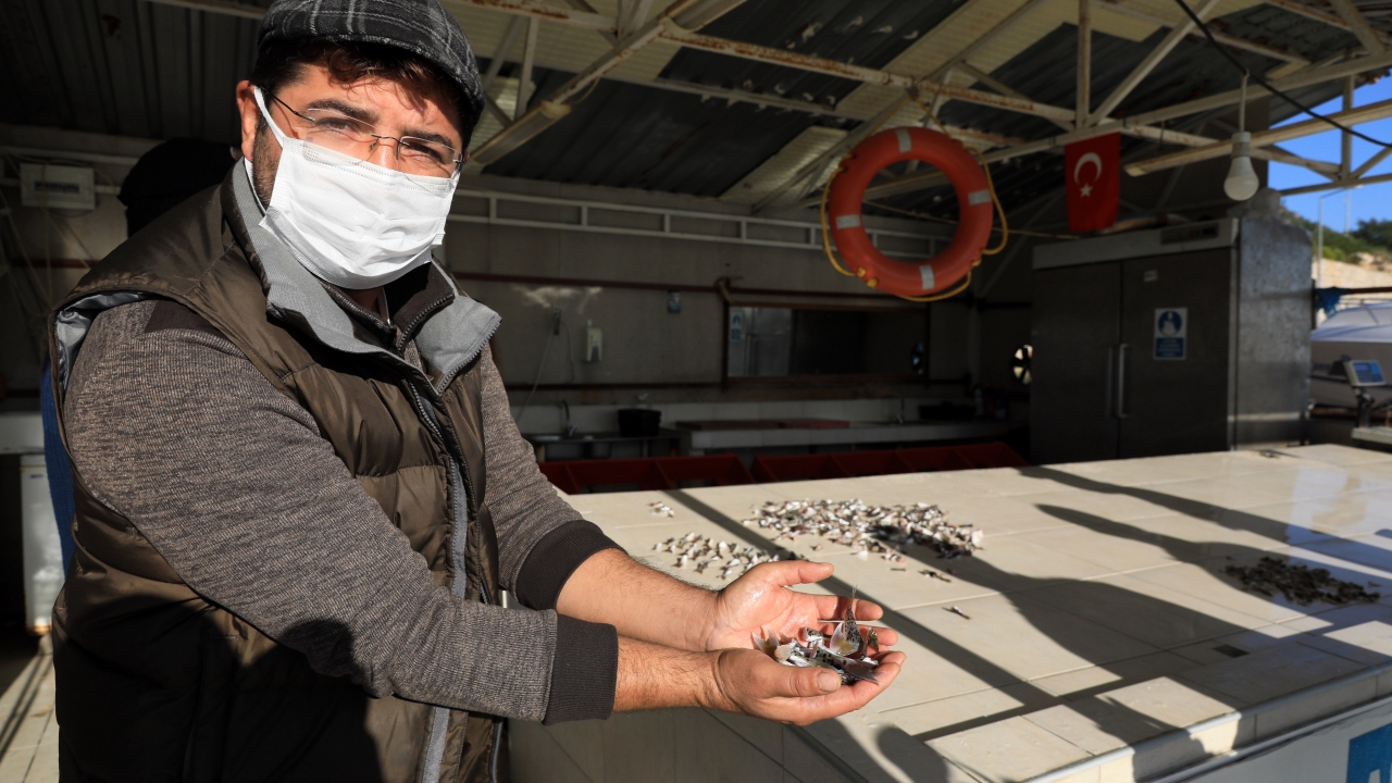 Sabah erken saatte balık satış noktasına geldiğini söyleyen Ahmet Telçekiç, "Poşetimde 400 adet balon balığı kuyruğu var. Burada görevliler sayıp kuyruk başına 5 lira ödeme yapacak" dedi.