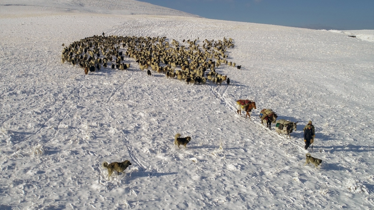 Başkale`deki yaylalarda, 15 gün önce sürüleriyle yola çıkan 3 çoban, 2 bin 225 rakımlı Kurubaş Geçidi`nde aniden bastıran kar ve tipiye yakalandı. 