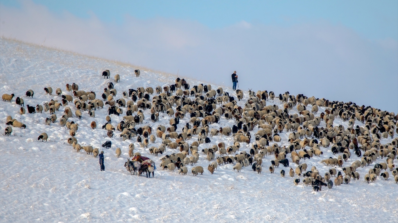 Geceyi arazide zor şartlarda geçiren çobanlar, evlerine ulaşmak için günün ilk ışıklarıyla yeniden yola koyuldu.