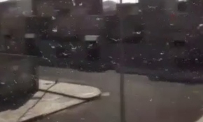 Mekke sokaklarını çekirgeler işgal etti