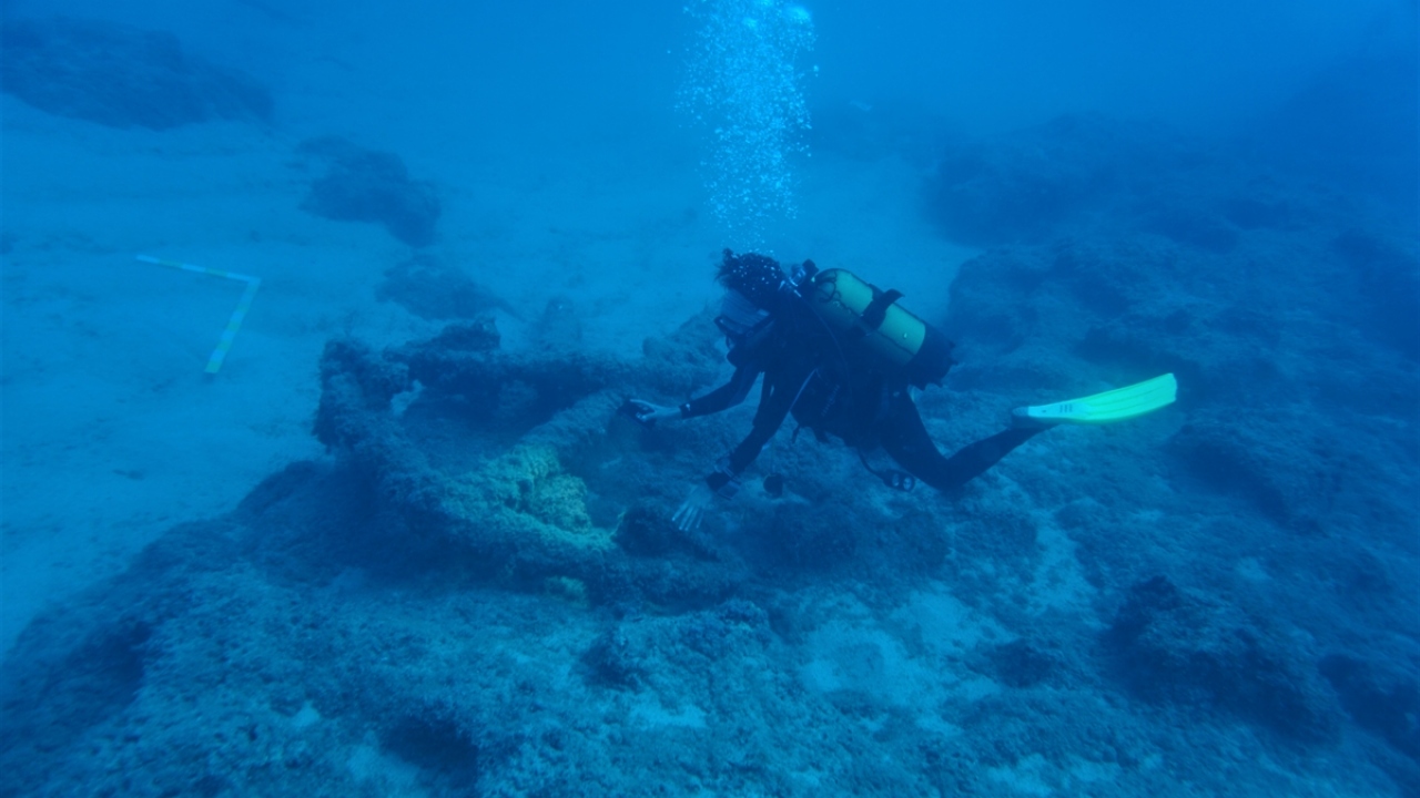 Güvenlik nedeniyle konumu gizli tutulan bölgede deniz dibindeki çok sayıda çapanın ve batık gemilerin sıralı oluşu ise büyük bir donanmanın Akdeniz`e hakim, hızlı hareket edilecek bu noktada hazır bekletildiğinin göstergesi olarak yorumlandı.