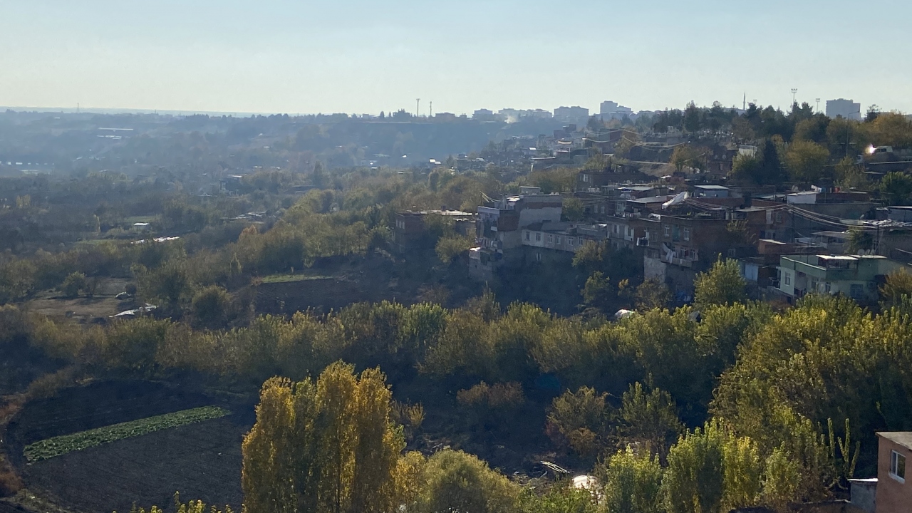 Bahçelerde meyve ağaçlarının yanı sıra mevsimine göre pek çok sebze yetiştiriliyor.
