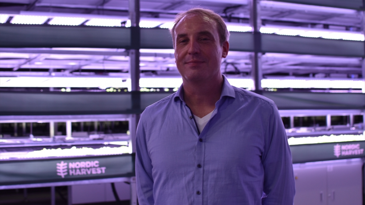 7 yıl önce finans sektöründeki işini bırakarak topraksız tarıma yöneldi