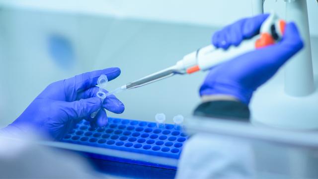 BioNTech sıtma aşısı üretecek