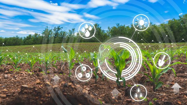 Tarımsal birliklerin kuruluşu için elektronik ortamda başvuru imkanı