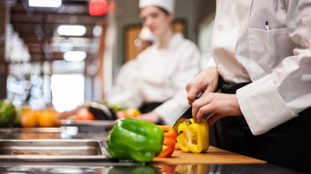 Yeditepe Üniversitesiden gastronomi yüksek lisans programı