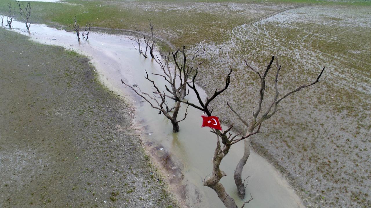 Baraj alanında çok sayıda kurumuş ağaç olduğu ve vatandaşların ağacın birisinin tepesine Türk bayrağı astığı görüldü. 