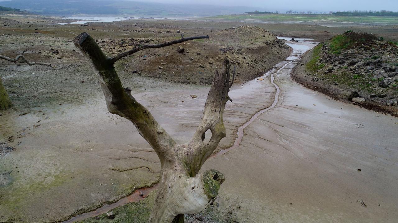 Görüntülerde suların çekildiği alanda oluşan kuraklık korkunç tabloyu bir kez daha gözler önüne serdi.