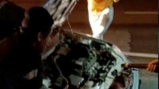 Bartın’da aracın motorundan tilki çıktı