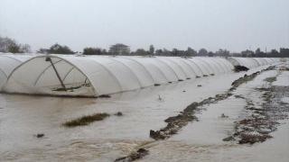 Antalya'da kuvvetli yağış: Meyve bahçeleri ve seraları su bastı