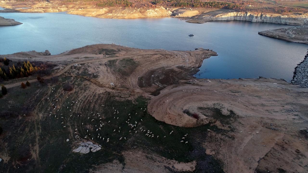 Kırklareli Ziraat Odası Başkanı Ekrem Şaylan, bölgede beklenen yağışın gelmesiyle çiftçinin umutlarının yeniden yeşerdiğini belirtti.